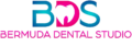 BDS Logo White Variant